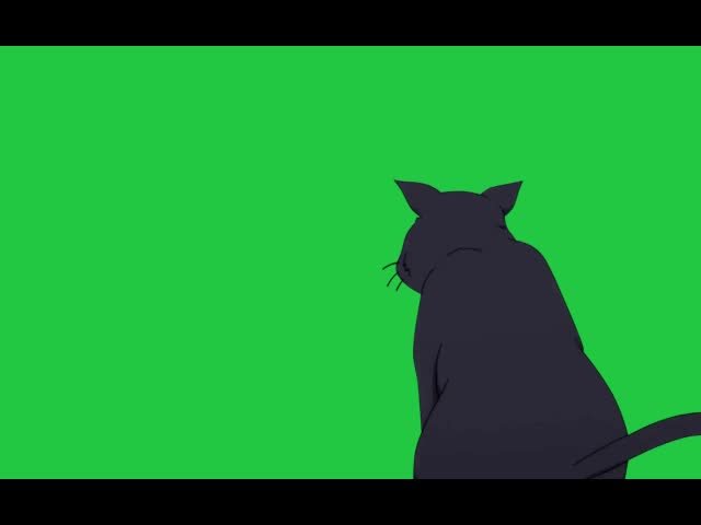 Black Cat Animation Free Green Screen Video preview