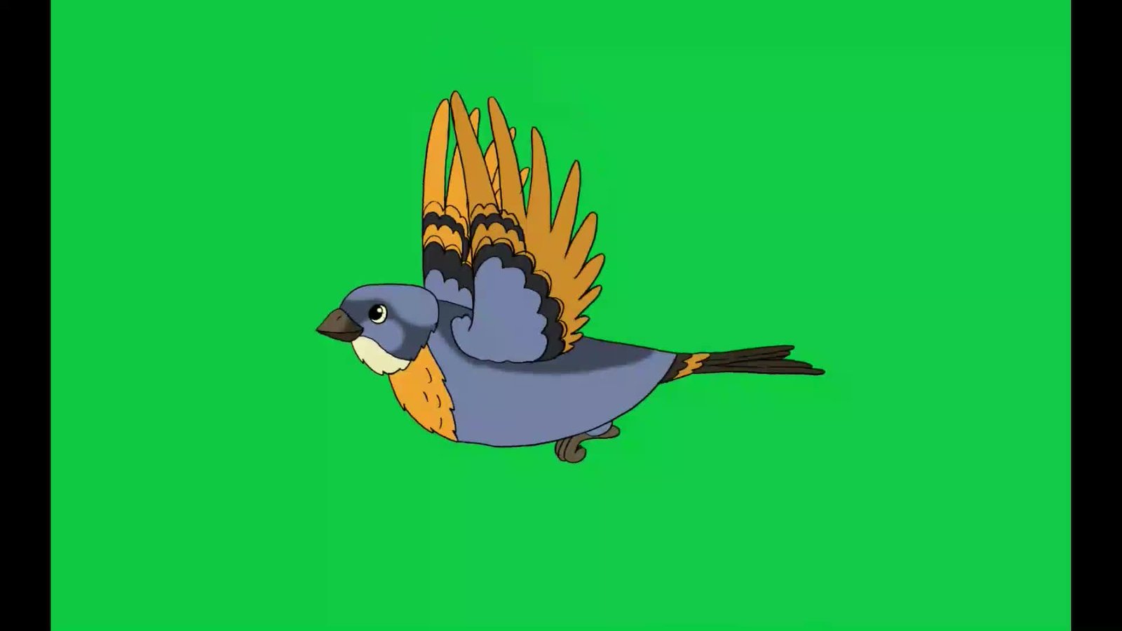 Bird preview