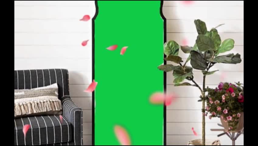 Mirror Inside Showing Green Screen preview