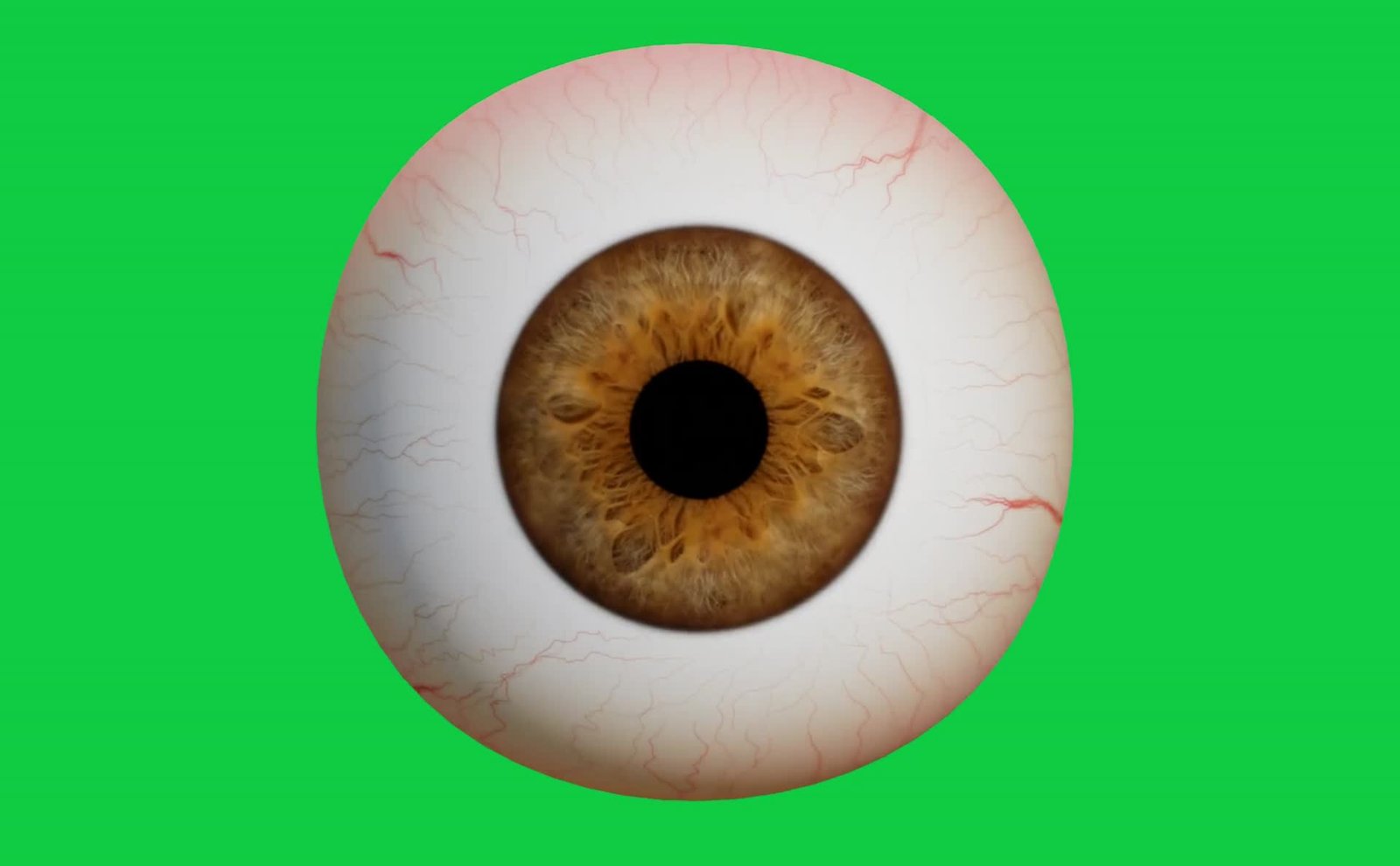 Eyeball Free Green Screen Video preview