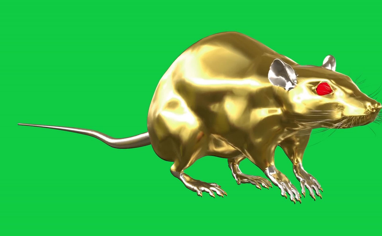 Golden Rat Red Eyes Free Green Scree Video preview